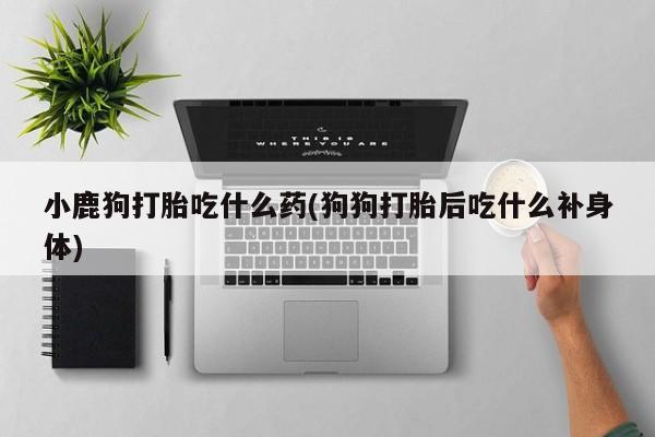 流产药网上怎么购买小鹿狗打胎吃什么药(狗狗打胎后吃什么补身体)