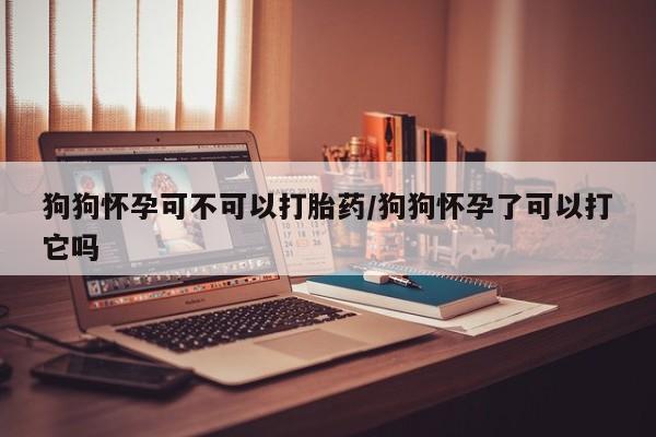 流产药网上怎么购买狗狗怀孕可不可以打胎药/狗狗怀孕了可以打它吗