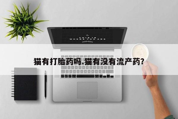流产药网上怎么购买猫有打胎药吗.猫有没有流产药？