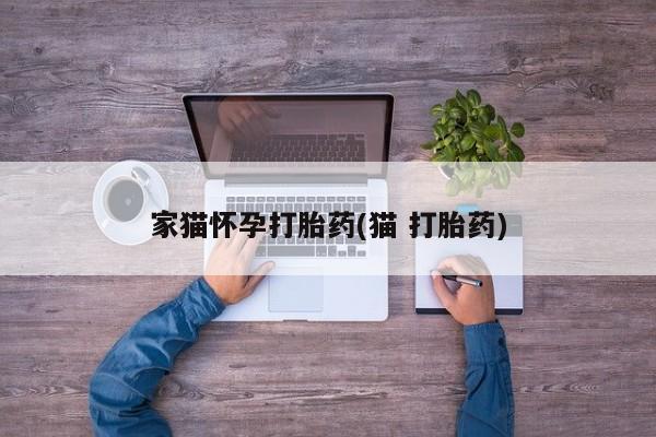 流产药网上怎么购买家猫怀孕打胎药(猫 打胎药)