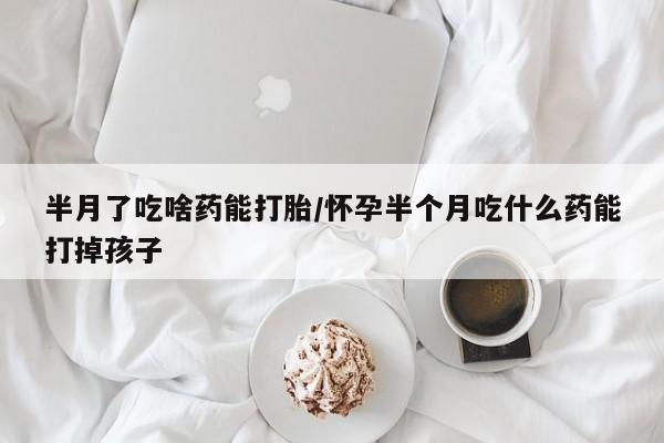 流产药网上怎么购买半月了吃啥药能打胎/怀孕半个月吃什么药能打掉孩子