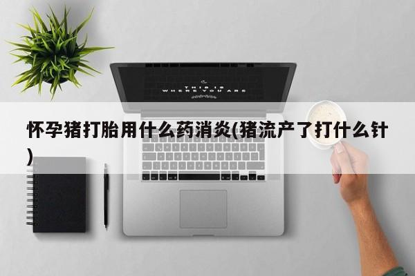 流产药网上怎么购买怀孕猪打胎用什么药消炎(猪流产了打什么针)